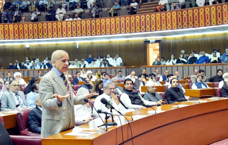 shehbazsharifinassembly