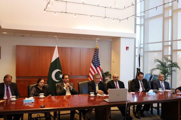 Pakistani-American-Investor-Eyes-Investments-in-Pakistans-IT-Sector