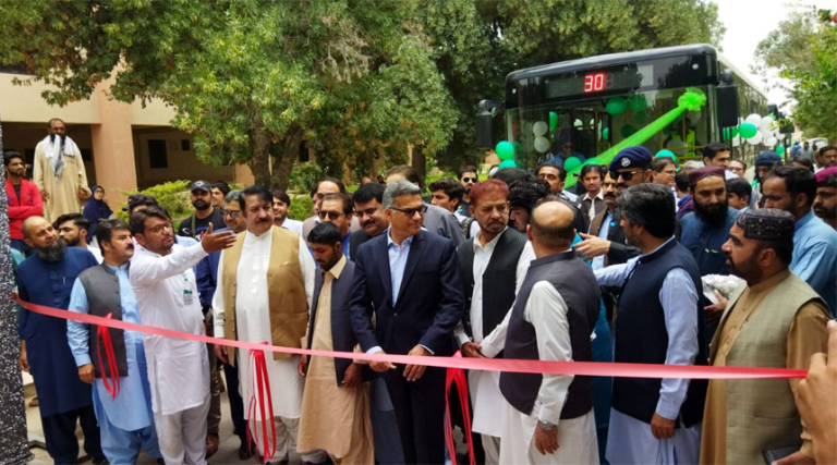 greenbusquetta
