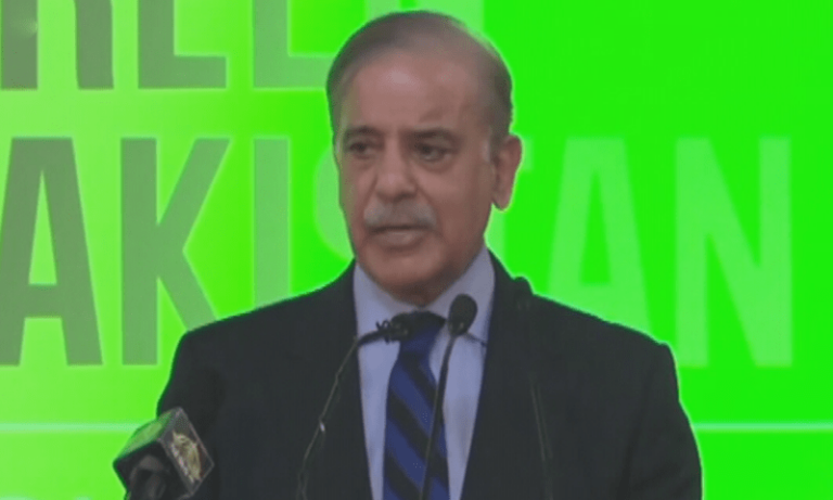 shehbazatgreenseminar