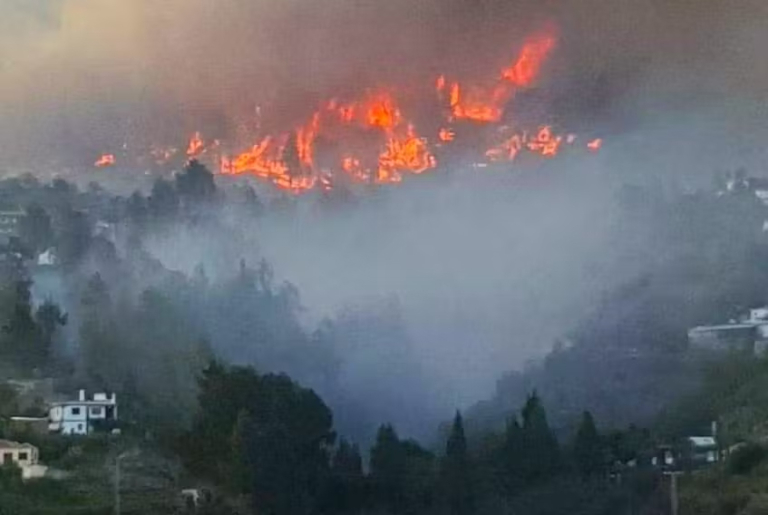 spainforestfire