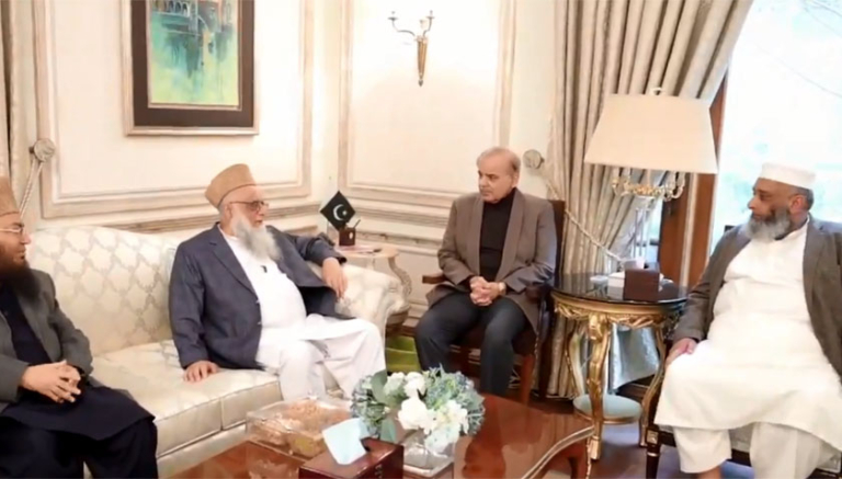 senatorsajjidmirmeetshehbaz