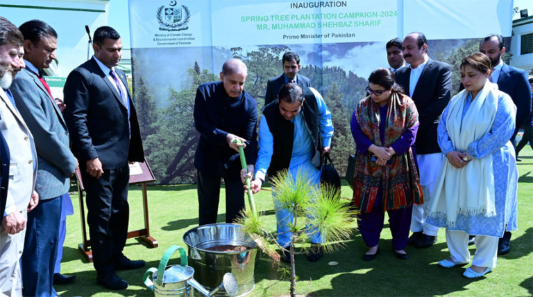 treeplantation