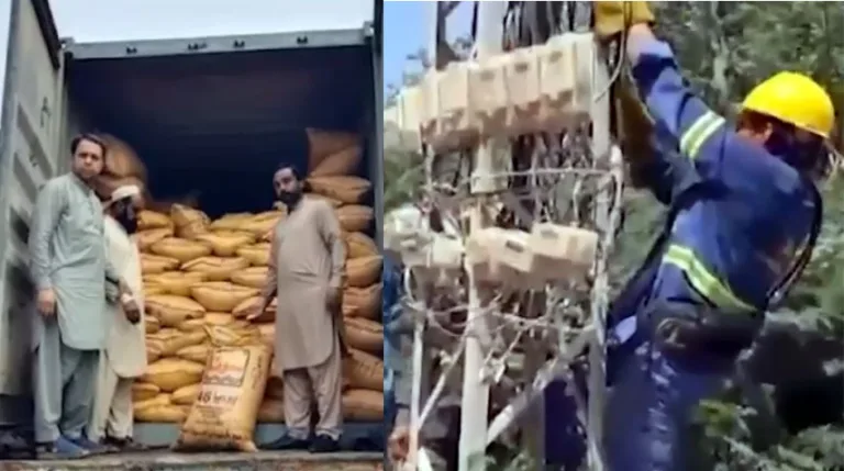 Govt pursuing zero tolerance policy towards smuggling, power pilferage