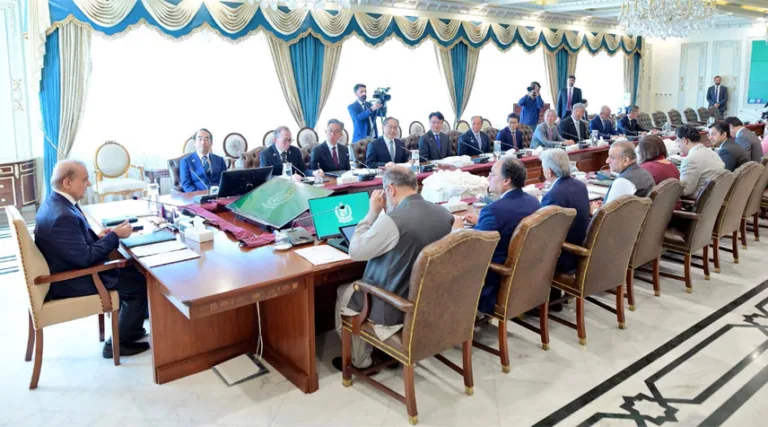 pmmeetsjapanesedelegation