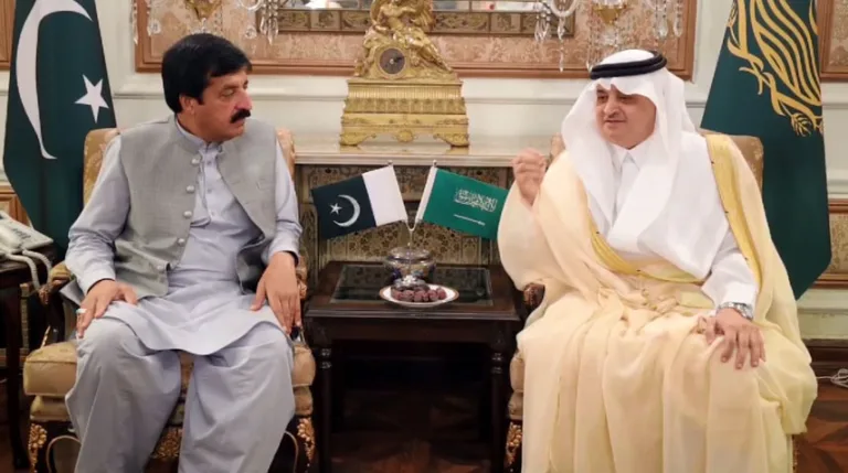 Punjab Governor invites Saudi investors