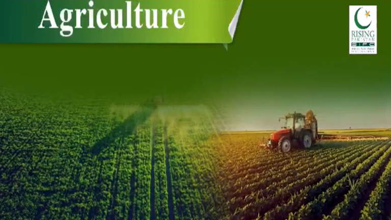 agriculture