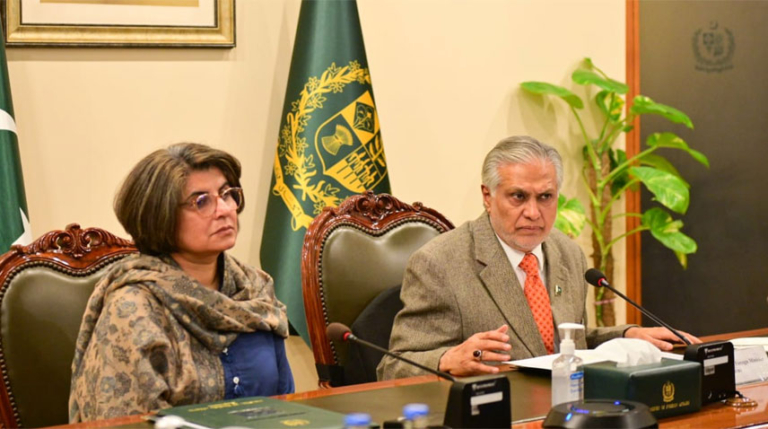 DPM calls for promoting Pakistan’s national interests