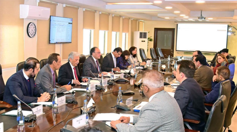 Finance Minister for timely implementation of NEV Policy 2025