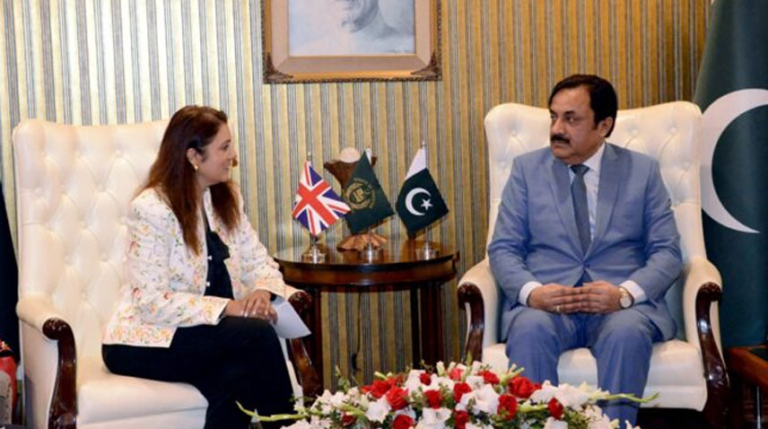 Acting Senate Chairman invites British businessmen to invest in Pakistan