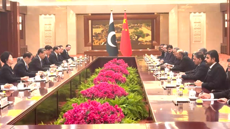 Asif Ali Zardari, Zhao Leji discuss bilateral ties