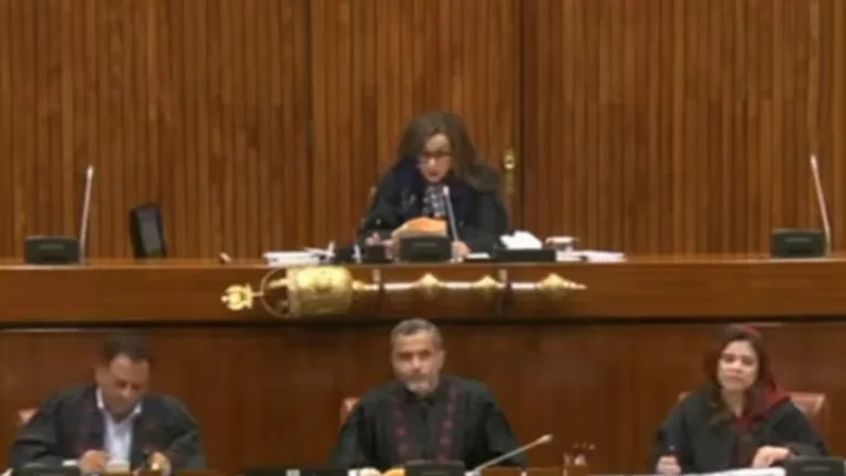 Senate passes resolution recognizing right of political parties