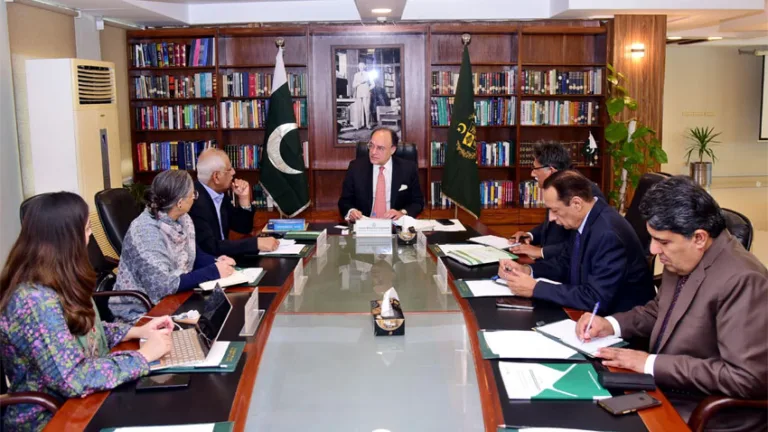 Aurangzeb reviews ongoing development of NHPP for period 2025-34