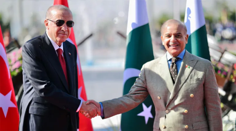 PM, Turkiye's President discuss bilateral, regional issues