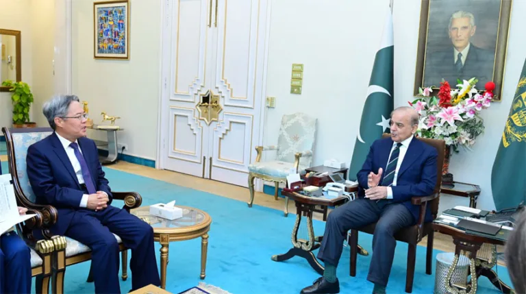 PM calls for timely completion of CPEC-related projects