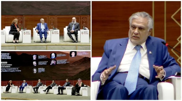 DPM vows to create transparent environment in minerals sector