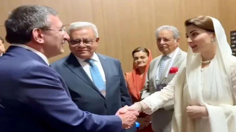 Punjab CM, Turkiye Vice President discuss ways to boost cooperation