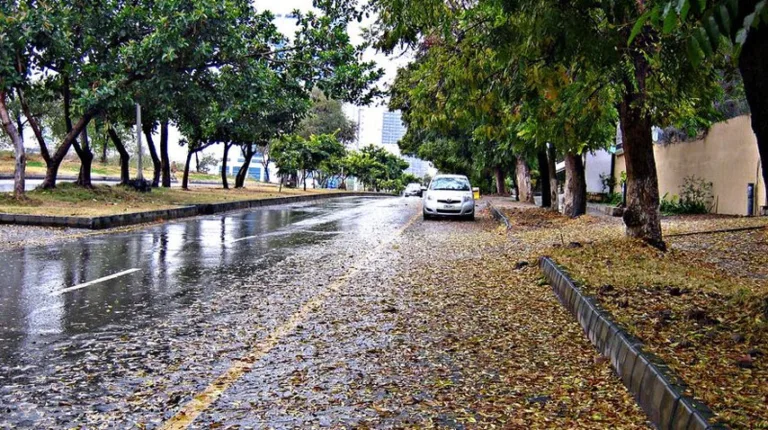 Severe weather alert issued for Punjab