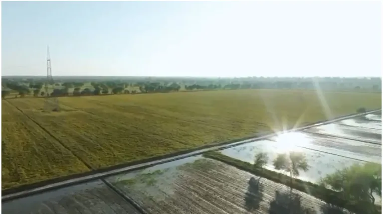 Green Pakistan Initiative boosts sustainable agri, livestock growth