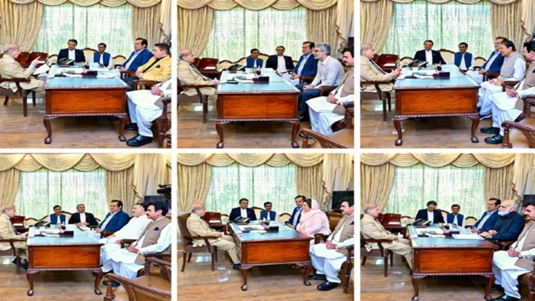 MNAs call on PM in Islamabad
