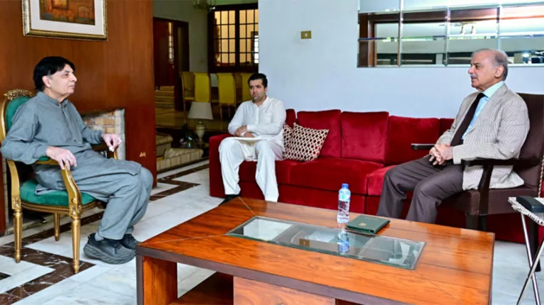 PM, Chaudhry Nisar discuss national, international affairs