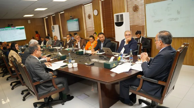 Ahsan urges provinces to draft development action plans