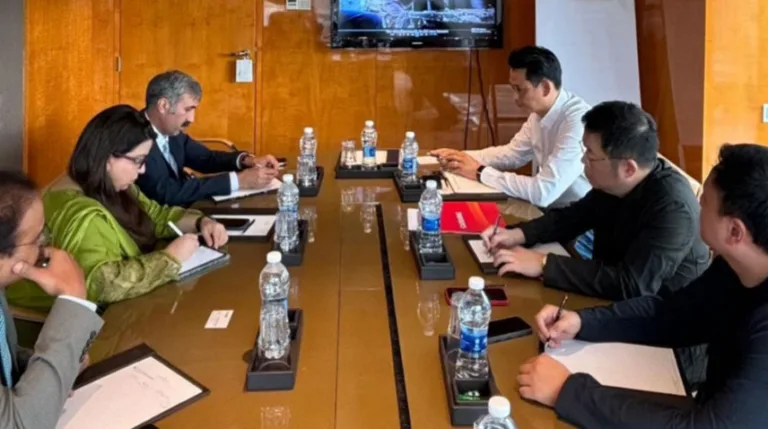 Chinese delegation shows interest in investing in IT sector