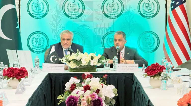 DPM, Professionals discuss Pakistan's investment landscape