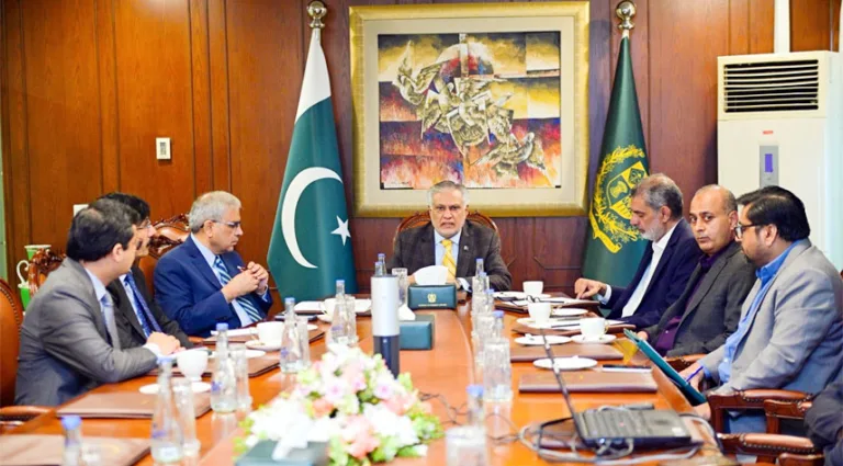 DPM reviews investment initiatives from friendly countries