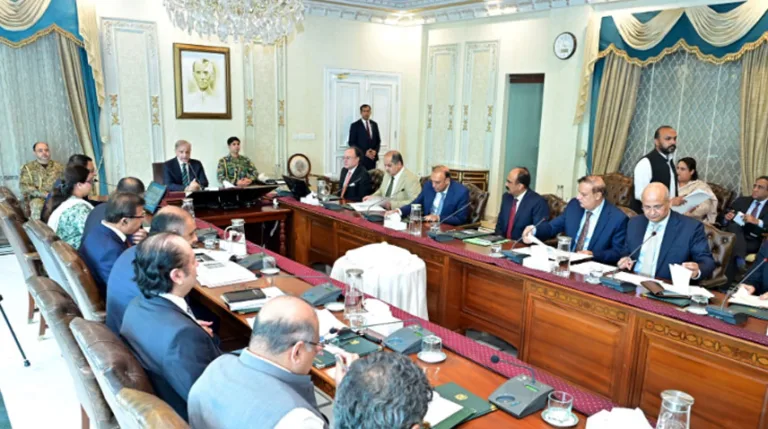 Digitization of economy to boost public convenience PM