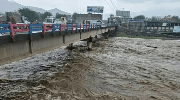 Five killed in rain-related incidents in KP