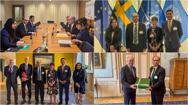 Pakistan, Sweden reaffirm commitment to further strengthen cooperation in green transition, digitisation