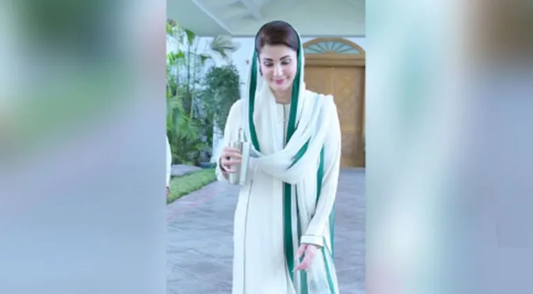 CM Punjab directs to celebrate Independence Day with unprecedented enthusiasm