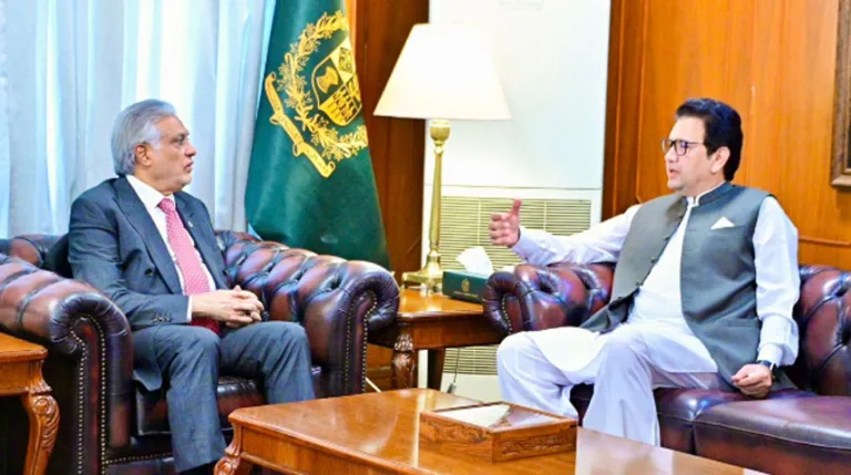 DPM assures federal govt's full support for relief efforts in KP