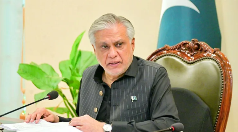 DPM vows to deepen multifaceted ties with Türkiye