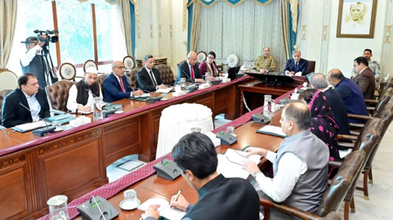 Digital ecosystem being introduced to boost IT exports PM