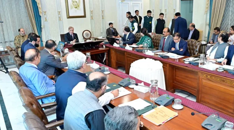 Govt focused on digitizing country’s economy PM