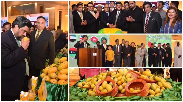 Mango Festival held in Karachi