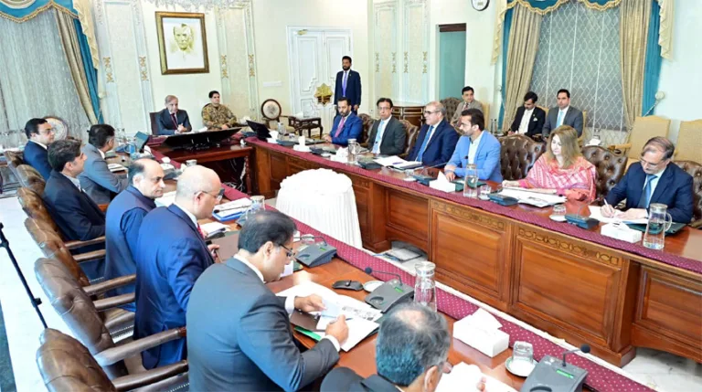 PM directs to improve healthcare system in Islamabad