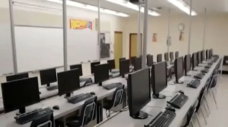 Pakistan’s IT exports increase due to SIFC’s efforts