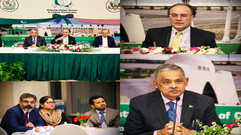 Aurangzeb hails contributions of overseas Pakistanis