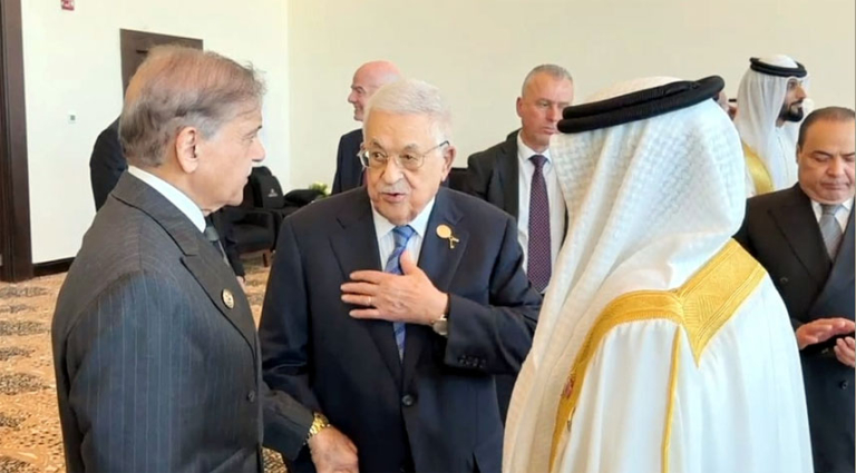 Palestine expresses gratitude to Pakistan for steadfast support