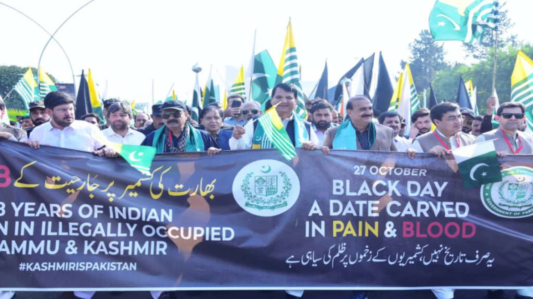 Solidarity walk taken out in Islamabad to express support with Kashmiri brethren