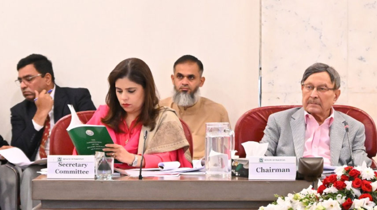 NA, Senate Standing Committees consider 27th Amendment Bill