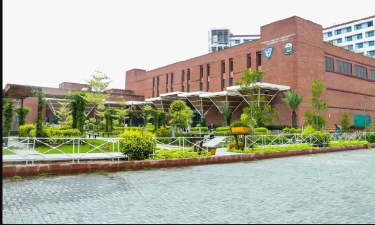 PKLI - liver transplants