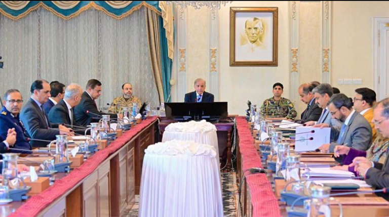 PM Shehbaz orders swift, transparent privatization of PIA