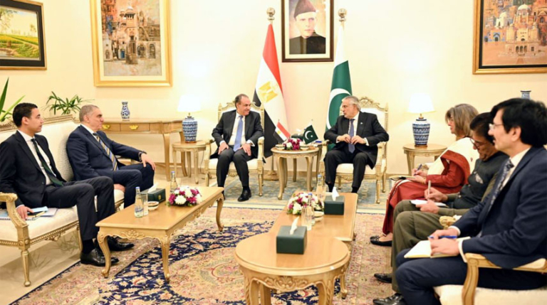 Pakistan, Egypt vow to deepen bilateral ties in all domains