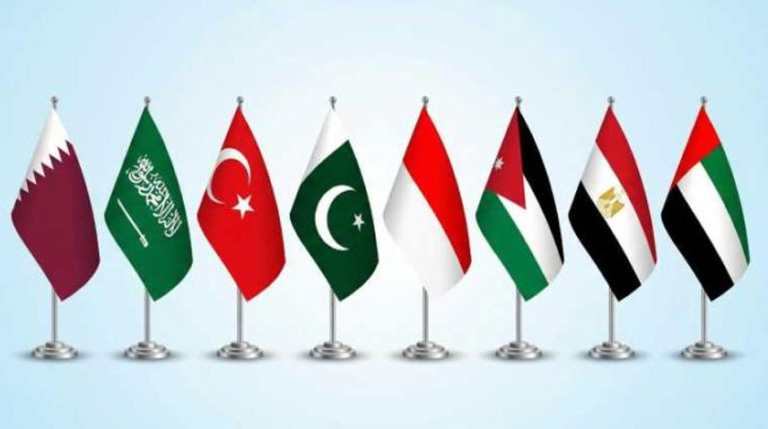 FMs reject any attempts to expel Palestinians from their land