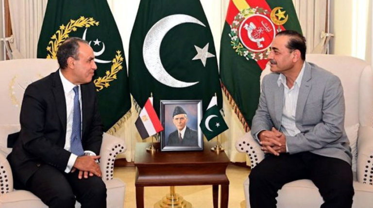 Field Marshal, Egyptian FM vow to deepen long-standing ties