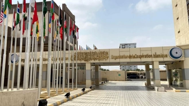 OIC, 21 states reject Israel's recognition of Somaliland